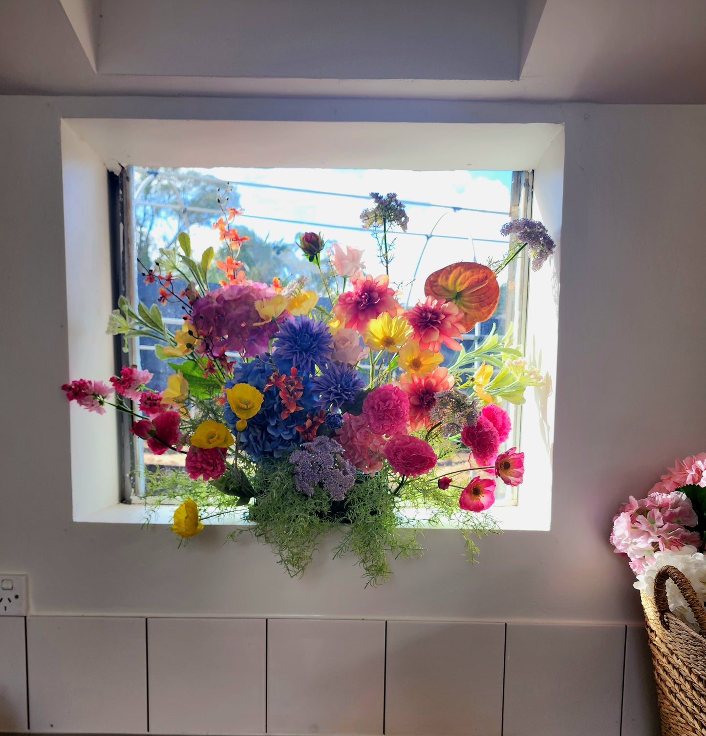 Drama Flower Cloud