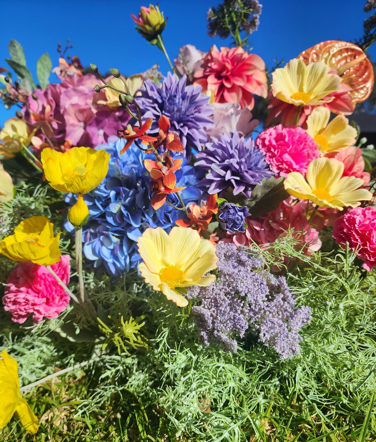 Drama Flower Cloud