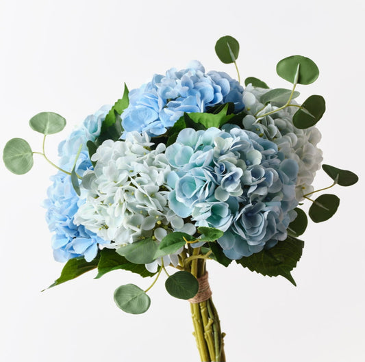 Hydrangea Haven